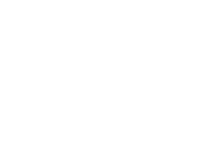 Evolution games at Night Rush Casino
